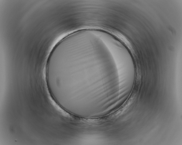 X0000112970958200909171315