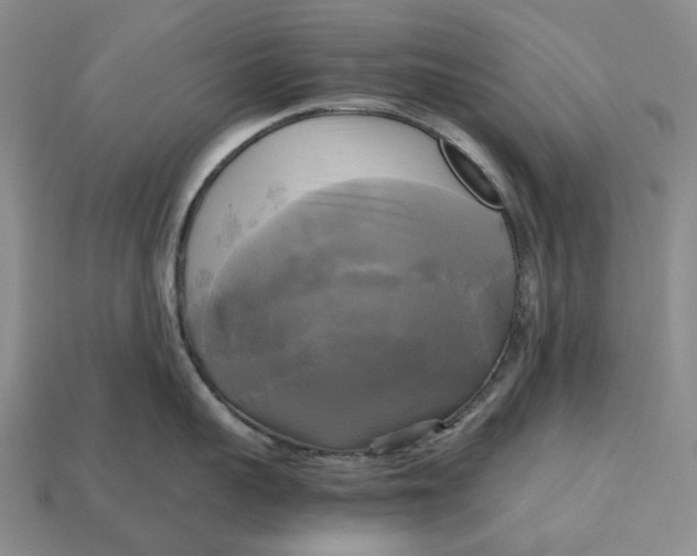 X0000112970959200909171315