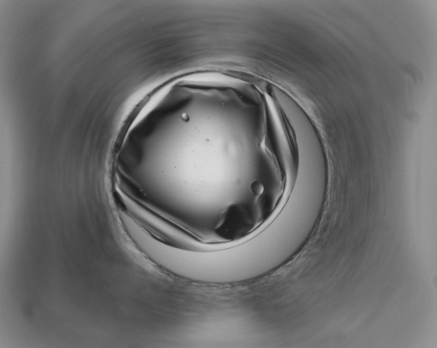 X0000112970960200909171315