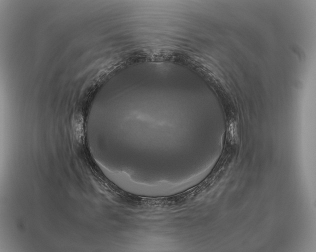 X0000112970963200909171314