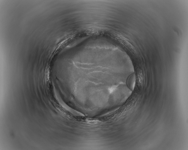 X0000112970964200909171314