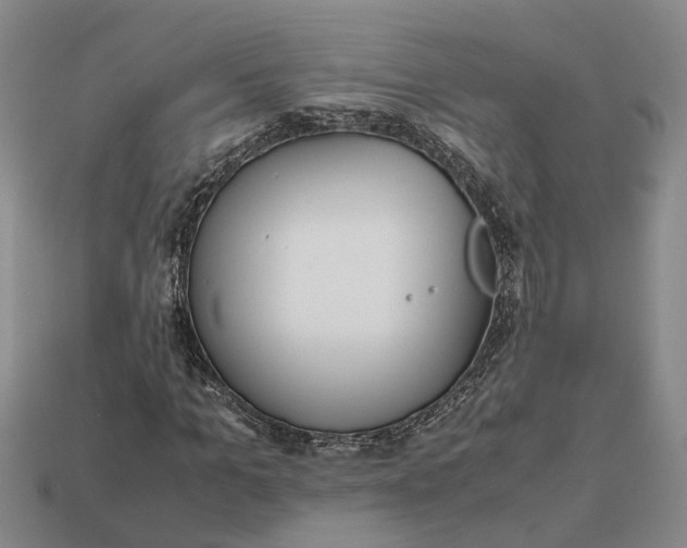 X0000112970965200909171314