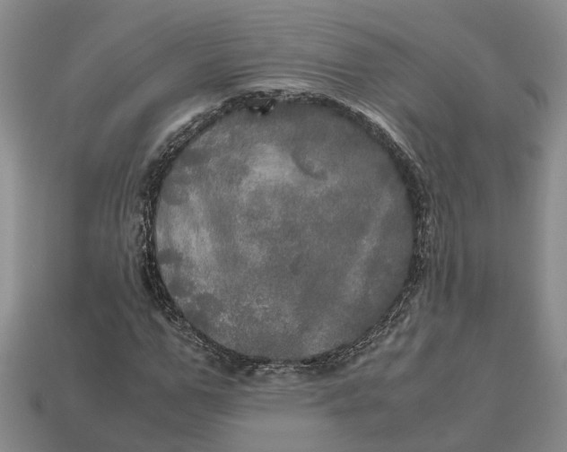 X0000112970967200909171314