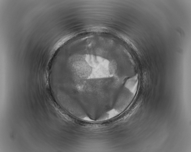 X0000112970970200909171314