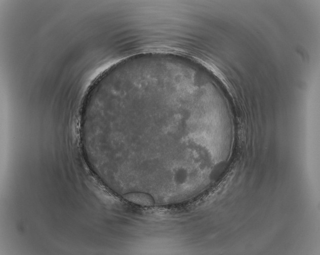 X0000112970971200909171314