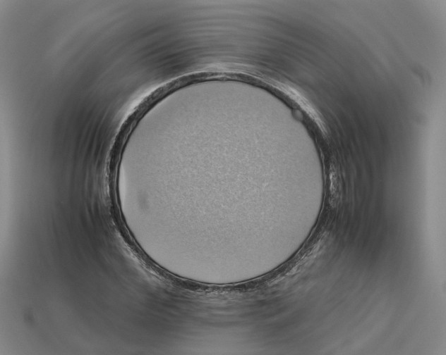 X0000112970972200909171314