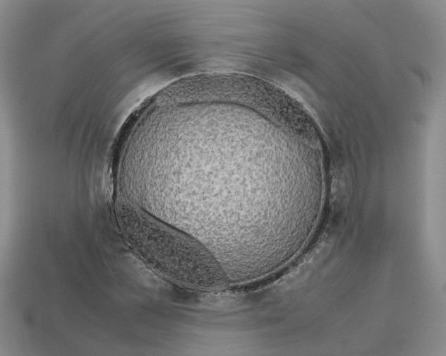 X0000112970973200909171314