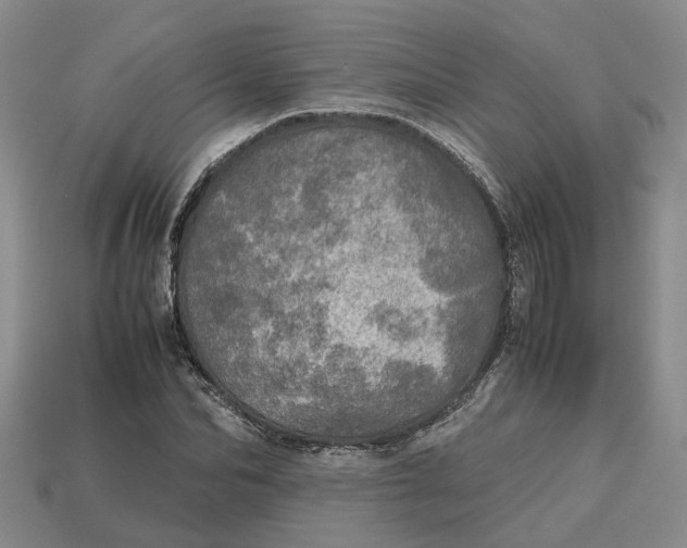 X0000112970974200909171314