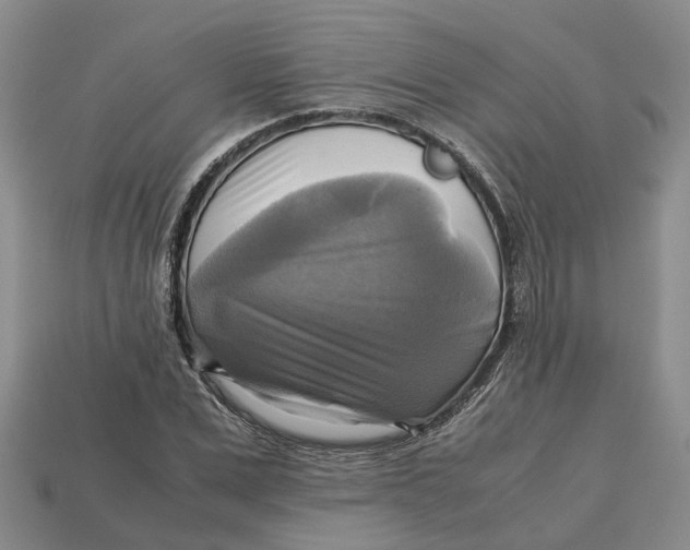 X0000112970975200909171314