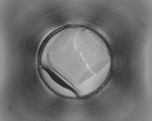 X0000112970976200909171314