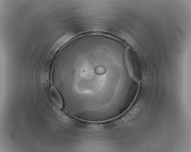 X0000112970977200909171314