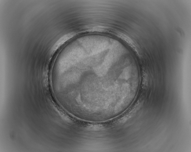 X0000112970978200909171314