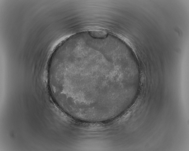 X0000112970979200909171314