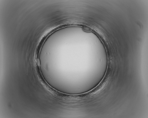 X0000112970981200909171314