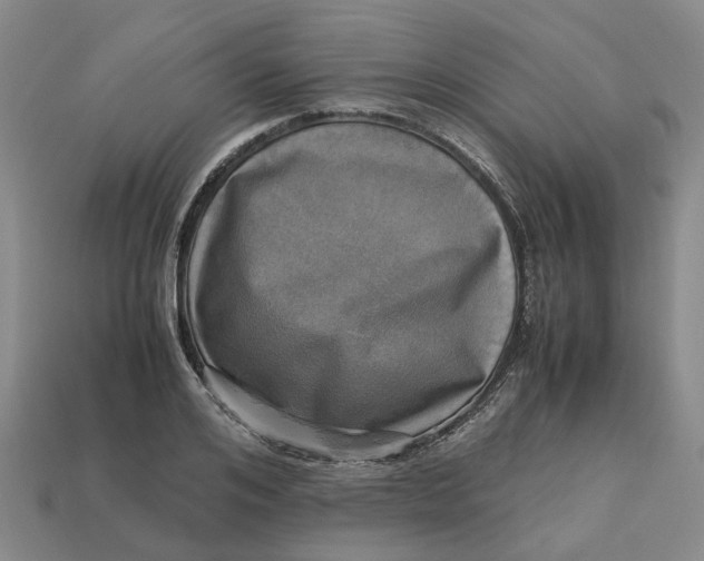 X0000112970984200909171314