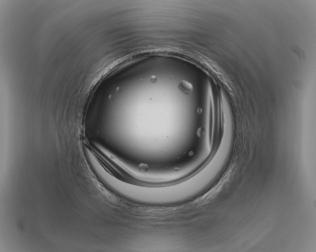 X0000112970985200909171314