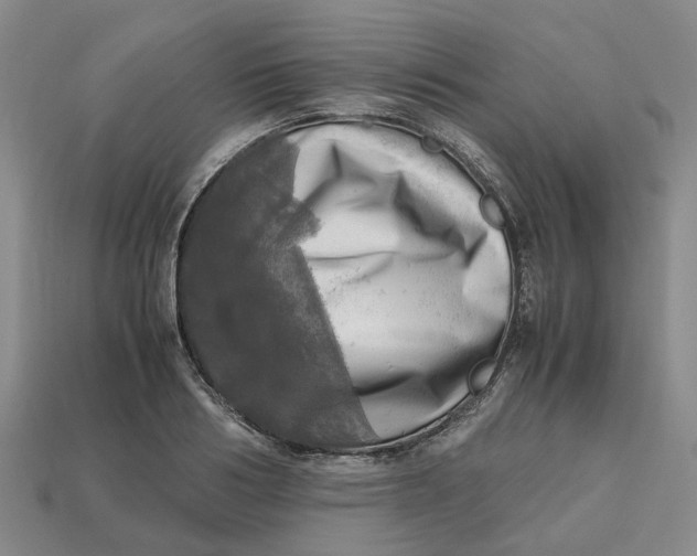 X0000112970986200909171314