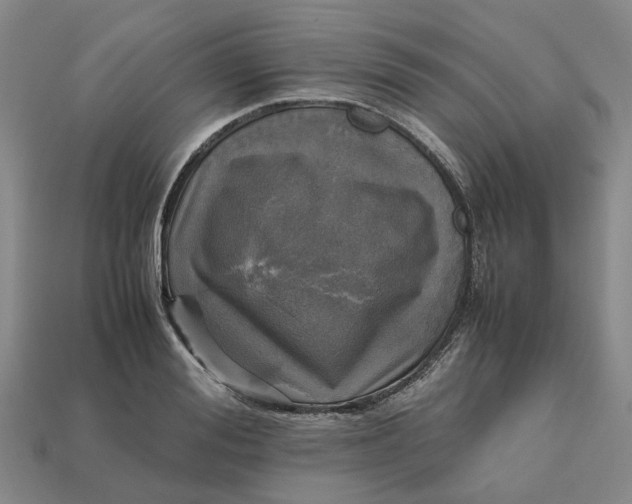 X0000112970988200909171314