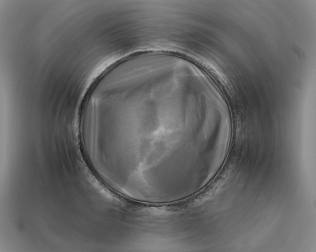 X0000112970990200909171314