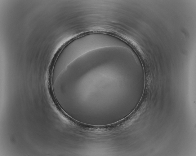 X0000112970991200909171314