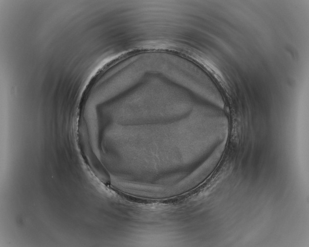 X0000112970992200909171314