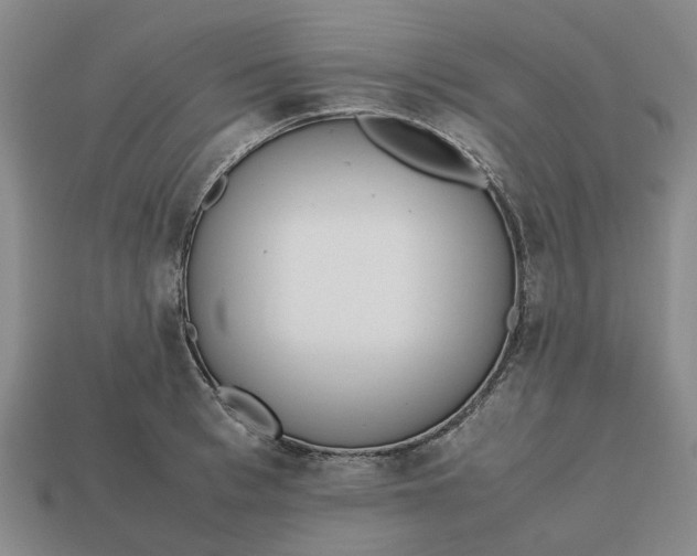 X0000112970993200909171314