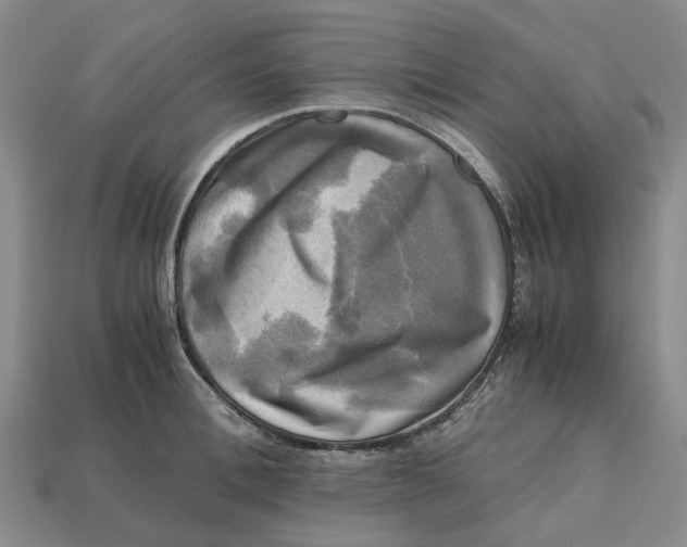 X0000112970996200909171314