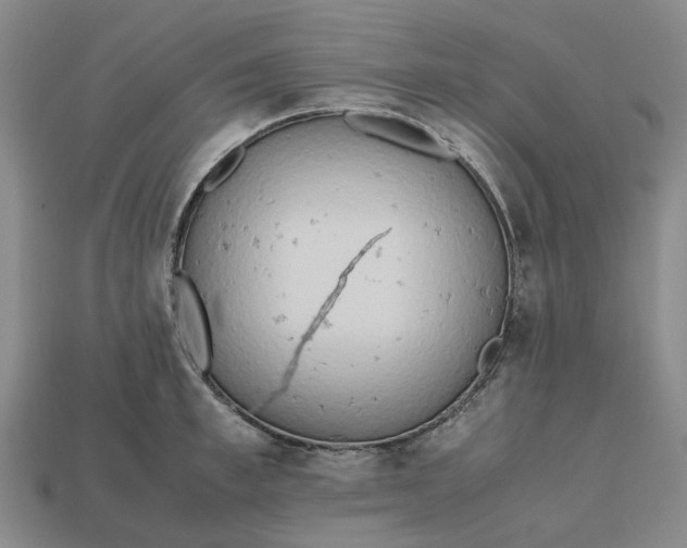 X0000112970997200909171314