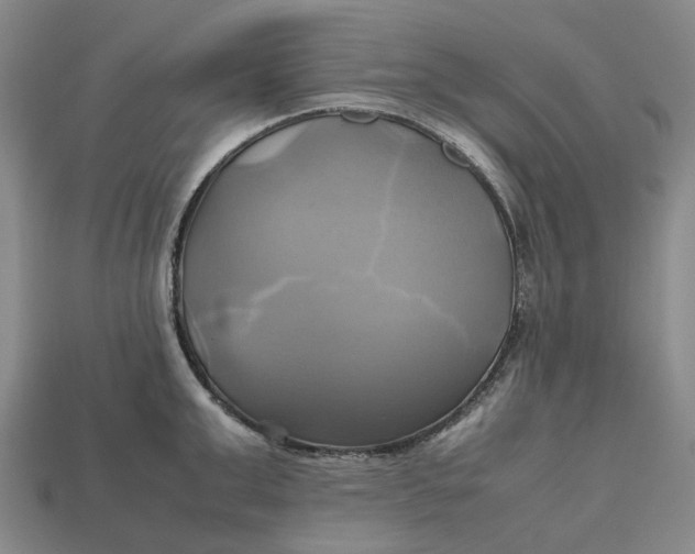 X0000112970999200909171314