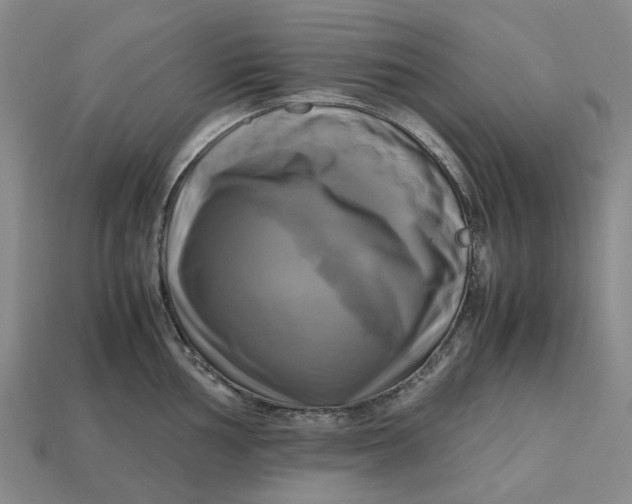 X0000112971002200909171314