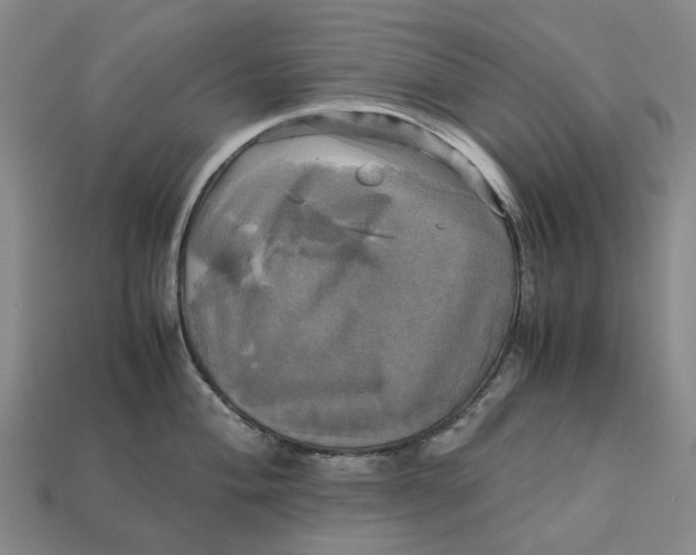 X0000112971004200909171314