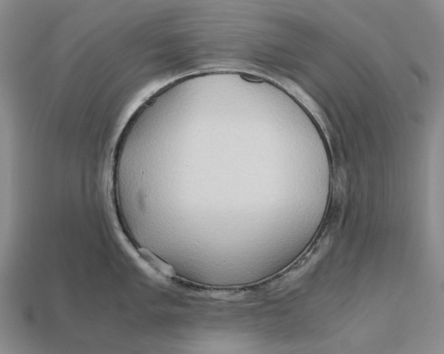 X0000112971005200909171314