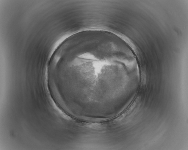 X0000112971006200909171314