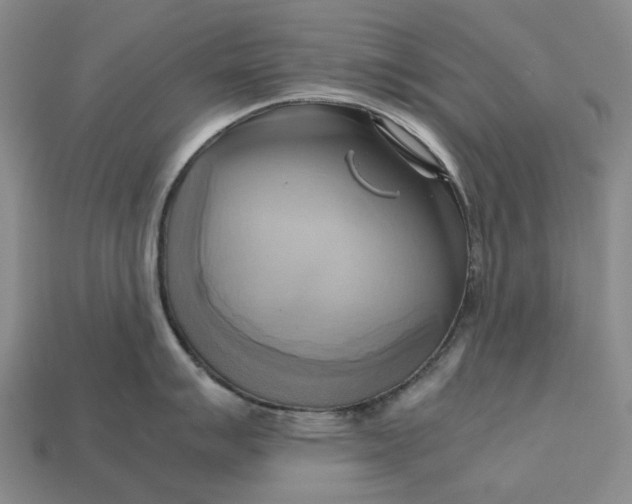 X0000112971007200909171314