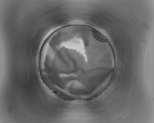 X0000112971008200909171314