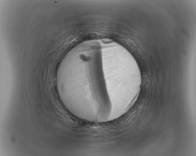 X0000112971009200909171313