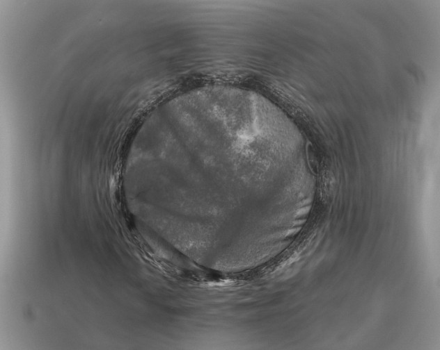 X0000112971010200909171313