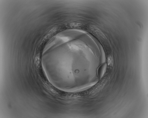 X0000112971011200909171313