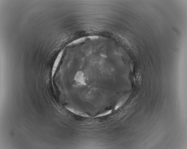 X0000112971012200909171313