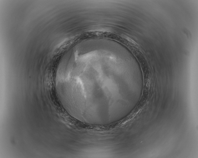 X0000112971014200909171313