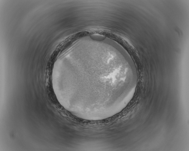 X0000112971016200909171313