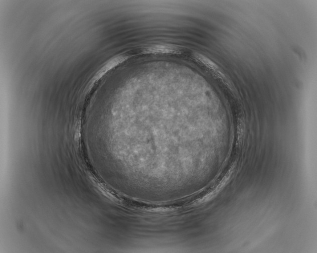 X0000112971017200909171313