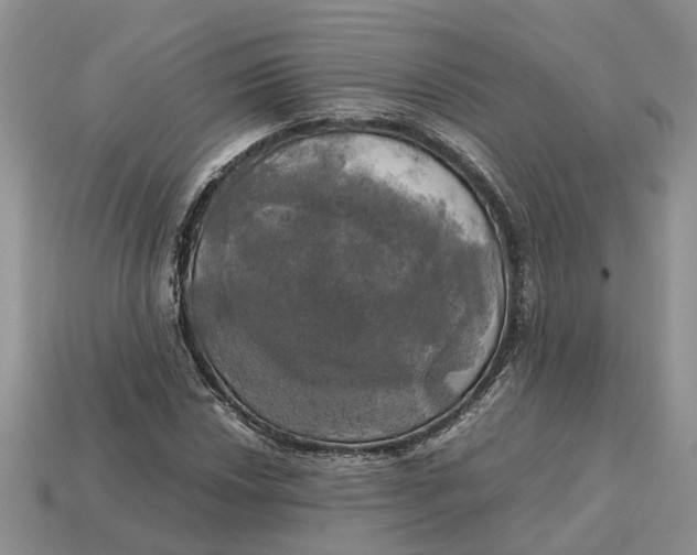 X0000112971018200909171313