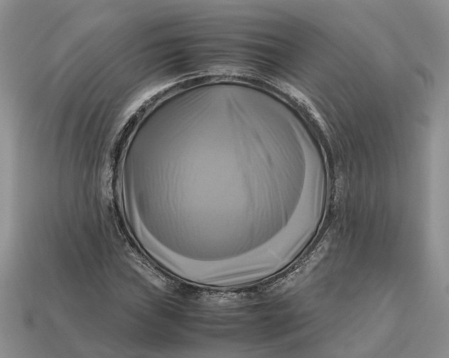 X0000112971019200909171313