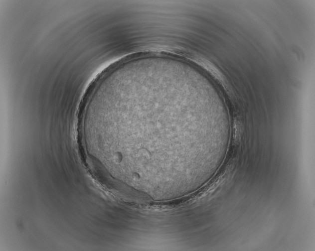 X0000112971020200909171313