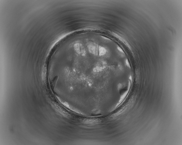 X0000112971021200909171313