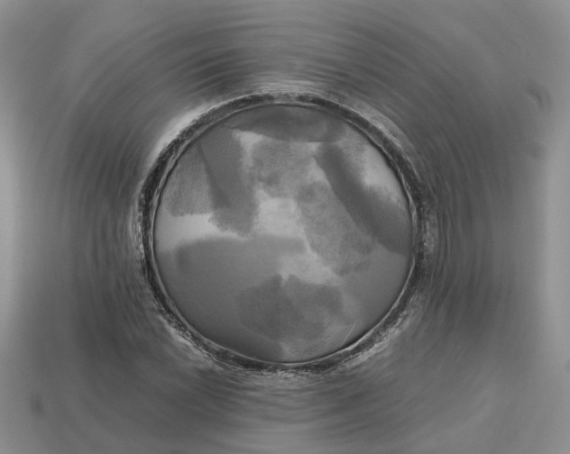 X0000112971022200909171313