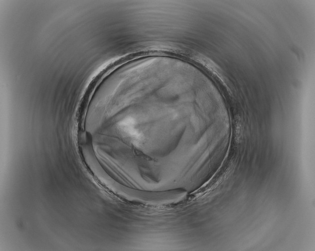 X0000112971024200909171313