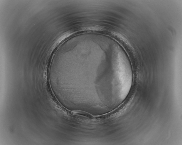 X0000112971025200909171313