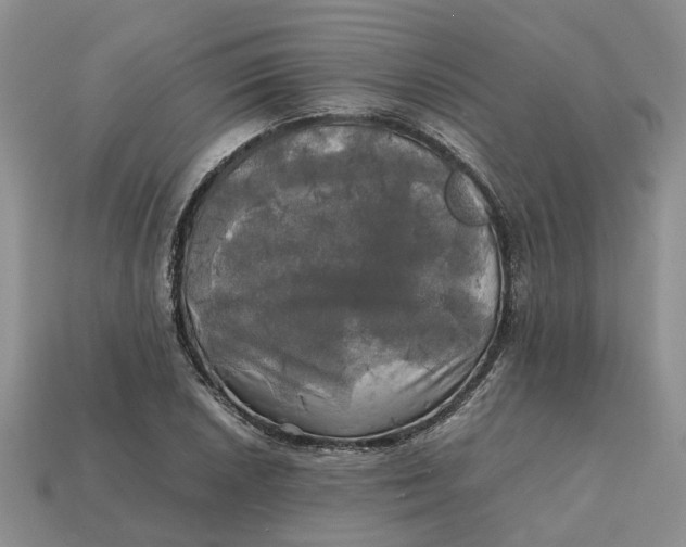 X0000112971026200909171313